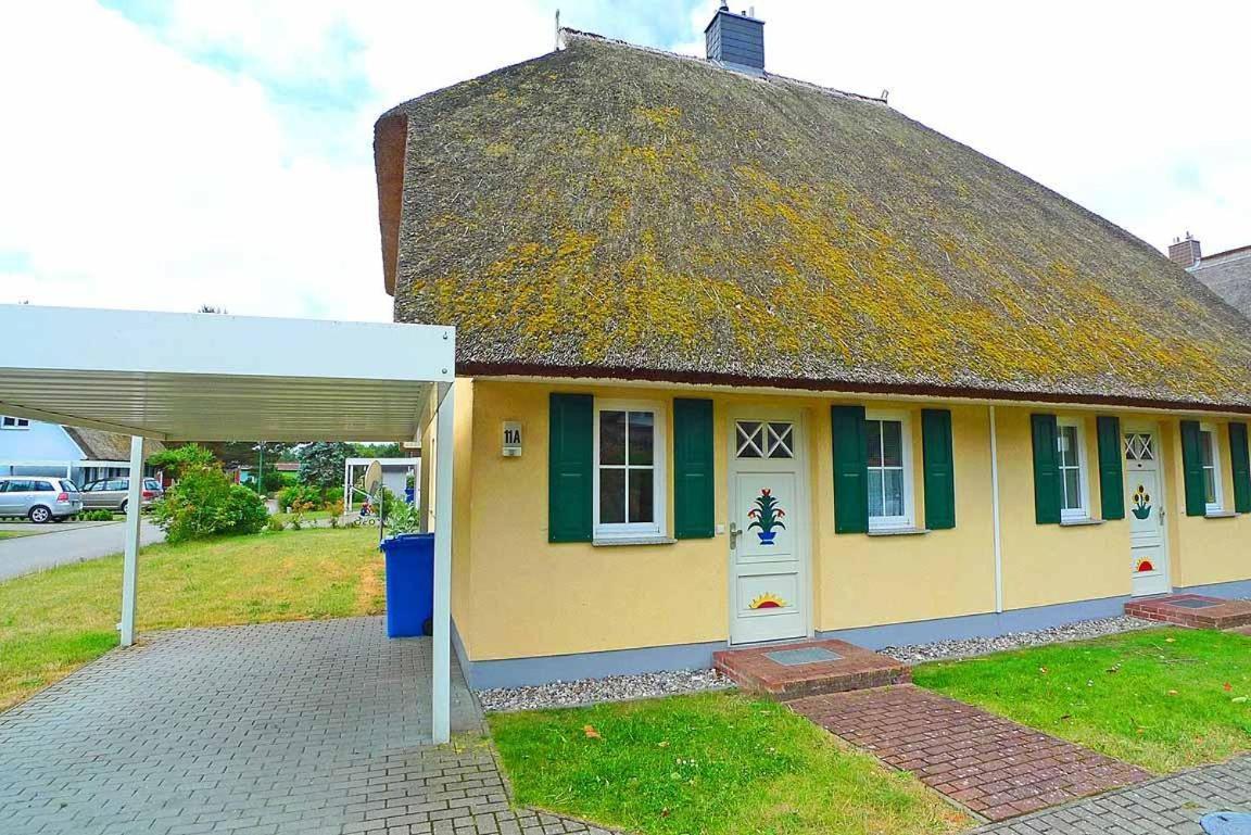 Ferienhaus An Der Alten Waldschaenke Ws-11A Born Kültér fotó
